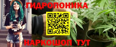 спайс Обь