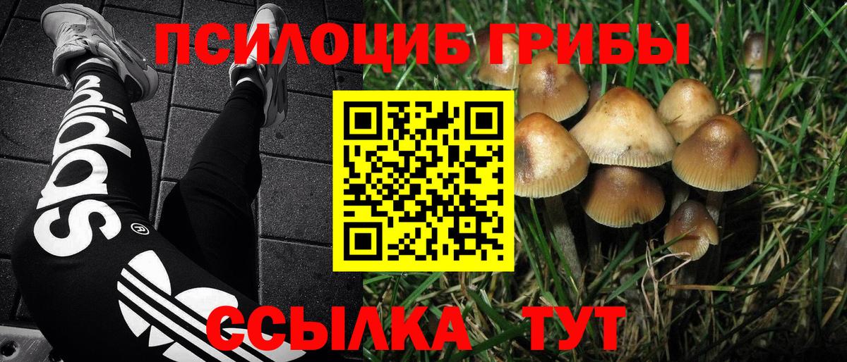 Среднеуральск  Псилоцибиновые грибы GOLDEN TEACHER  Вход с VPN  Галлюциногенные грибы Cubensis 